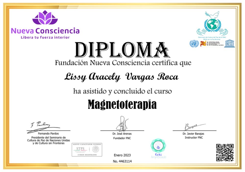 Magnetoterapia